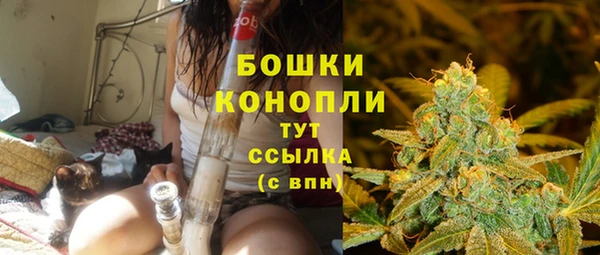 СК Козловка