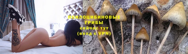 СК Козловка